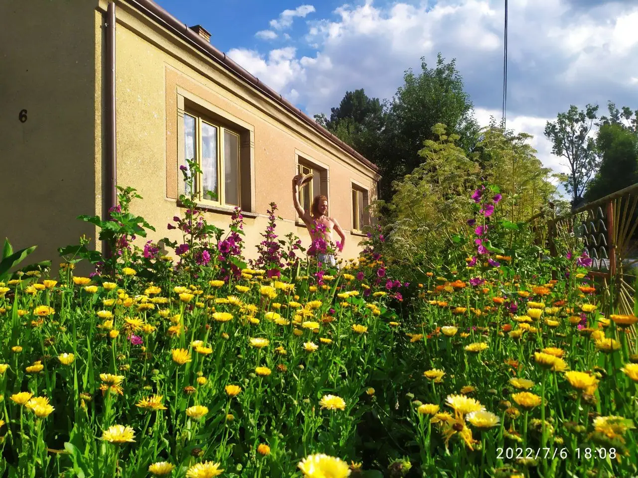A house with a garden in bloom