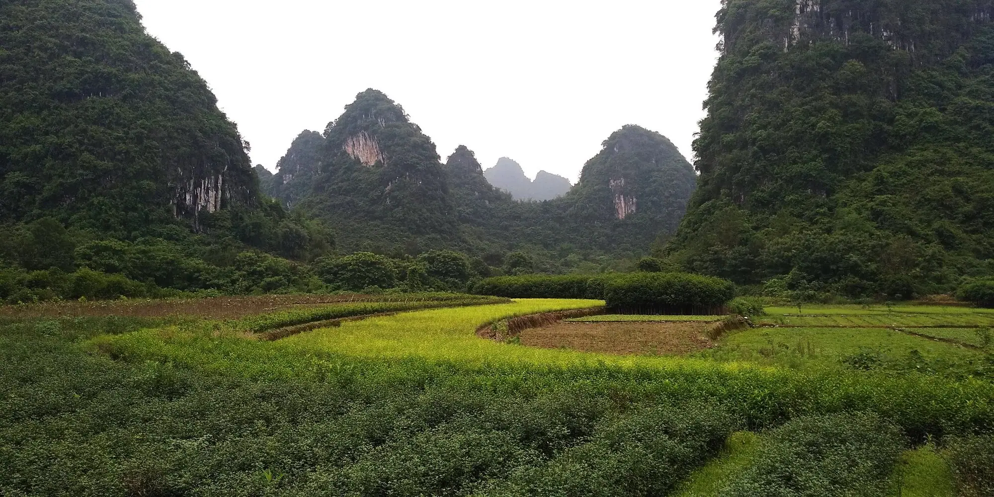 Green fields below the hills of Guilin